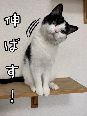 渾128
