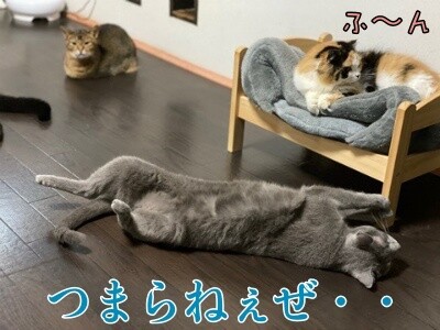 京470