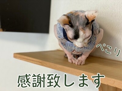 じゅり40