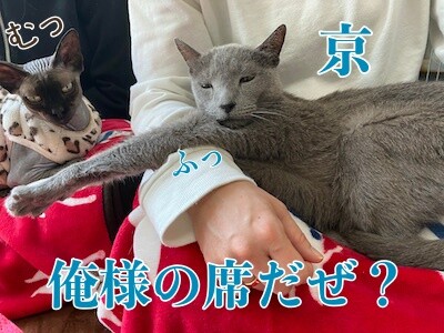 みんな1392