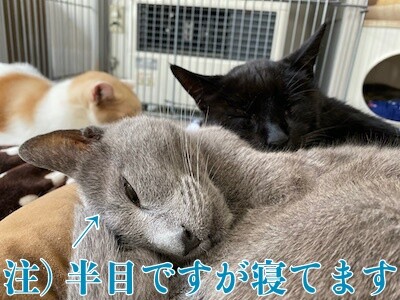 京56