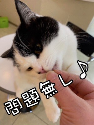 珠若804