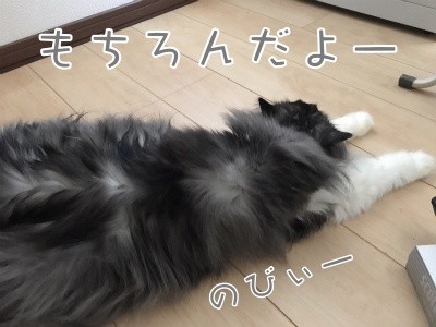 るひあ55