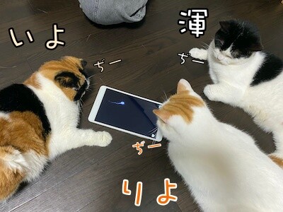 みんな966