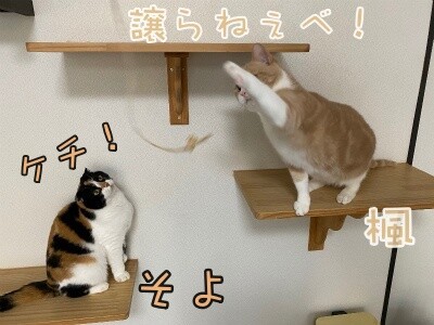 みんな1908