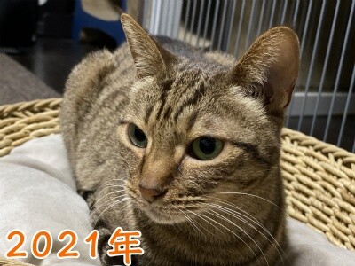 みさき277