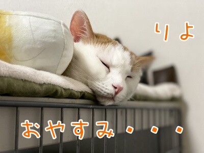 りよ155