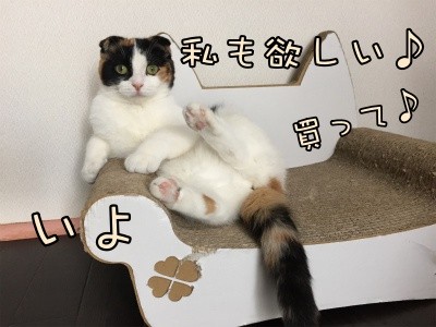 いよ58