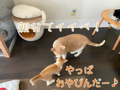 琢8
