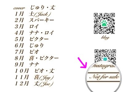 その他29