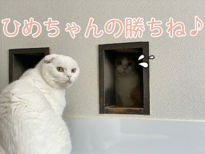 みんな234
