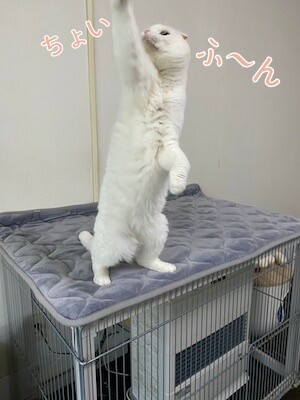 ひめ113