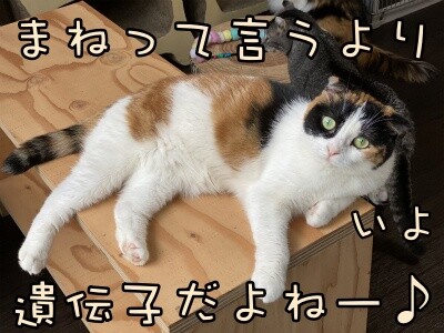 いよ324
