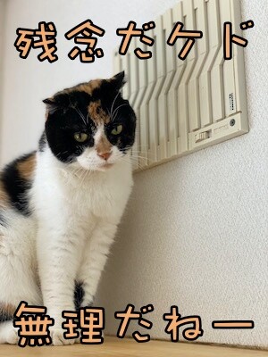 そよ13