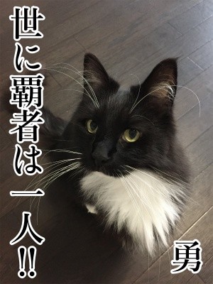 勇79