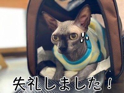 ビオ54