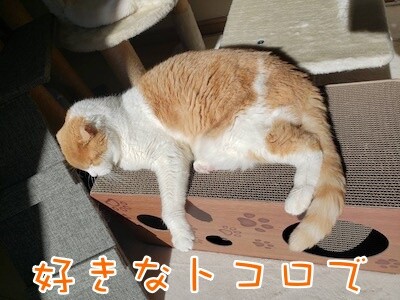 凌87
