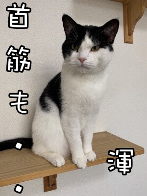 渾129