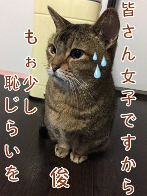 俊132