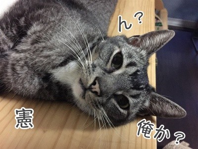 憲178