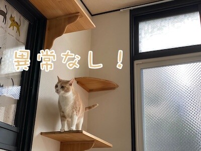 楓72
