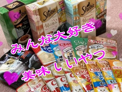 その他237