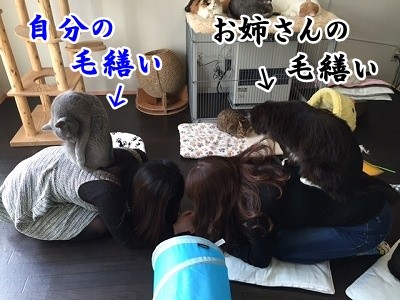 みんな (106)