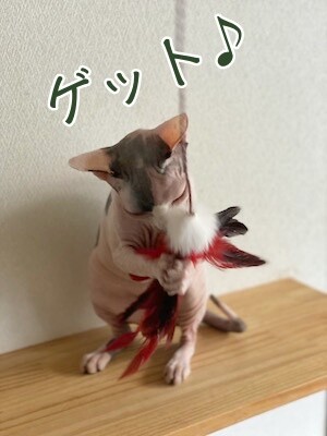 じゅり30