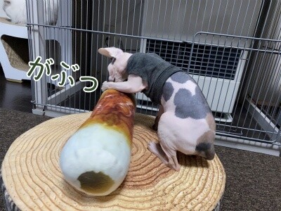 じゅり50