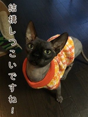 丈11