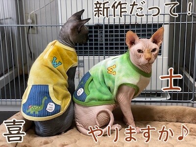 みんな611
