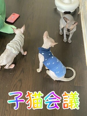 喜30