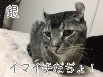 銀236