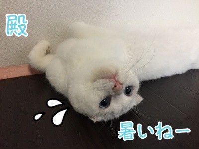 殿92