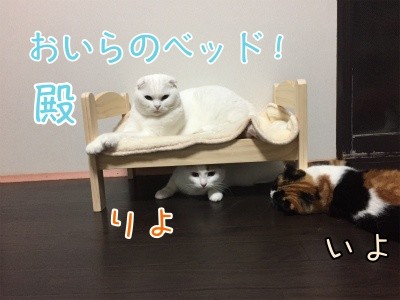 みんな1235