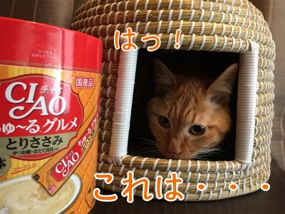 心55