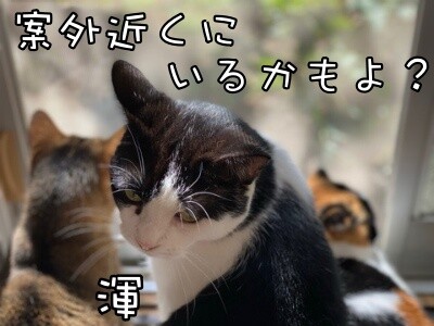 みんな2157