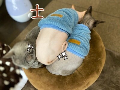 士162
