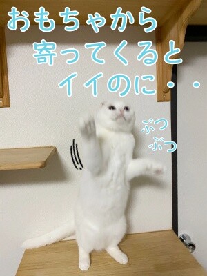 殿956