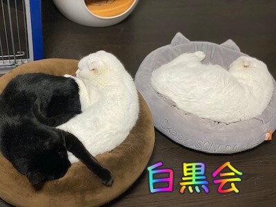 みんな1025