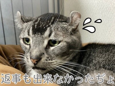 銀44