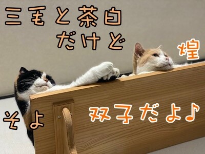 みんな958