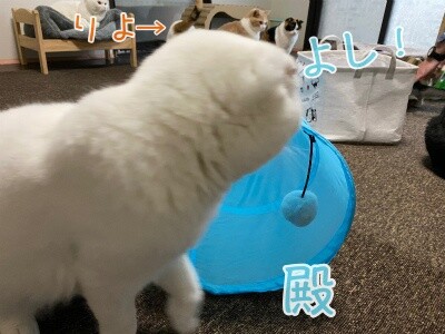 殿791
