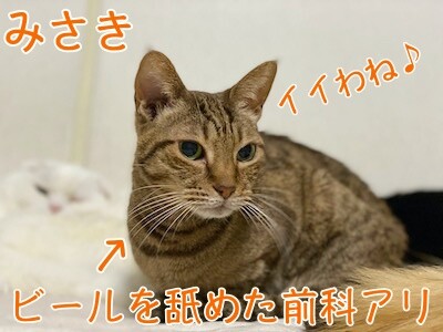 みさき395