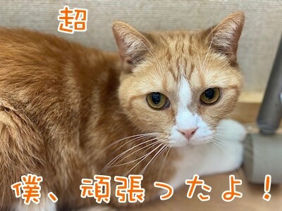 超21