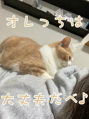楓57