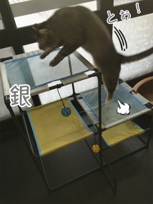 みんな130