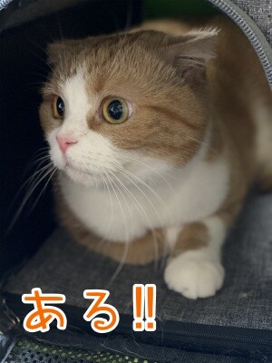 ベルビル124