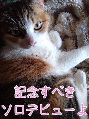 こここ35