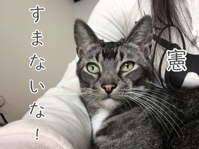 憲17
